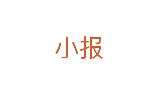 小报