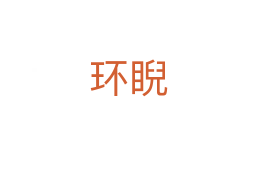 环睨