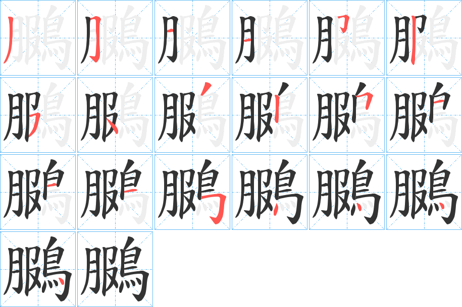 鵩的笔顺分步演示